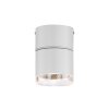 Paul Neuhaus PURE-NOLA Muurlamp LED Wit, 1-licht