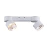Paul Neuhaus PURE-NOLA Plafondlamp LED Wit, 2-lichts