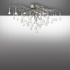 Paul Neuhaus ICICLE Plafondlamp Zilver, 4-lichts