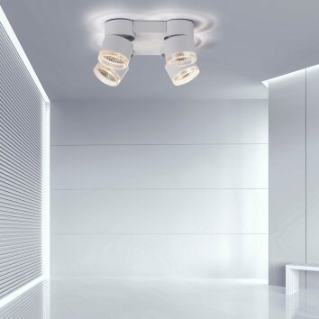Paul Neuhaus PURE-NOLA Plafondlamp LED Wit, 4-lichts