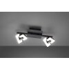 Fischer & Honsel Ray Plafondlamp LED Zwart, 2-lichts
