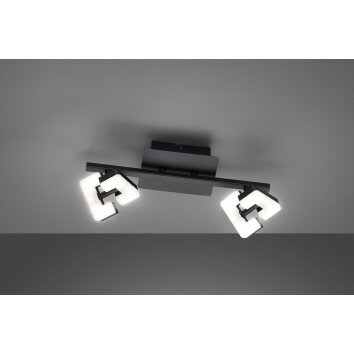 Fischer & Honsel Ray Plafondlamp LED Zwart, 2-lichts