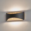 Fischer & Honsel Rio Muurlamp LED Zwart, 1-licht