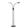 Fischer & Honsel Tallri Staande lamp LED Zwart, 2-lichts