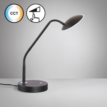 Fischer & Honsel Tallri Tafellamp LED Zwart, 1-licht