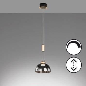 Fischer & Honsel Avignon Hanglamp LED Zwart, 1-licht