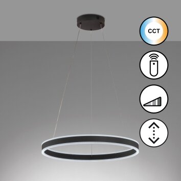 Fischer & Honsel Sirko Hanglamp LED Zwart, 1-licht, Afstandsbediening