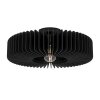 Eglo PALOMBAIA Plafondlamp Zwart, 1-licht