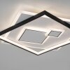 Paul Neuhaus MAILAK Plafondlamp LED Zwart, Wit, 2-lichts