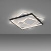 Paul Neuhaus MAILAK Plafondlamp LED Zwart, Wit, 2-lichts