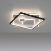Paul Neuhaus MAILAK Plafondlamp LED Zwart, Wit, 2-lichts