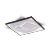 Paul Neuhaus MAILAK Plafondlamp LED Zwart, Wit, 2-lichts