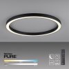 Paul Neuhaus PURE-LINES Plafondlamp LED Antraciet, 1-licht, Afstandsbediening