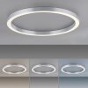 Paul Neuhaus PURE-LINES Plafondlamp LED Zilver, 1-licht, Afstandsbediening