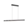 Paul Neuhaus PURE-MOTO-RISE Hanglamp LED Grijs, 3-lichts, Afstandsbediening