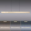 Paul Neuhaus PURE-MOTO-RISE Hanglamp LED Goud, 3-lichts, Afstandsbediening