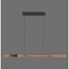 Paul Neuhaus PURE-MOTO-RISE Hanglamp LED houtlook, Zwart, 3-lichts, Afstandsbediening