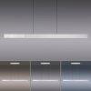 Paul Neuhaus PURE-MOTO-RISE Hanglamp LED Zilver, 3-lichts, Afstandsbediening