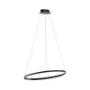 Paul Neuhaus TITUS Hanglamp LED Antraciet, 1-licht