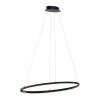 Paul Neuhaus TITUS Hanglamp LED Antraciet, 1-licht