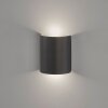 Fischer & Honsel Halv Muurlamp LED Zwart, 2-lichts