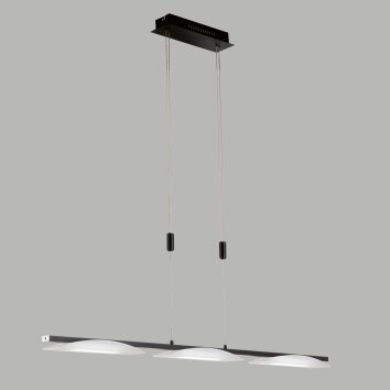 Fischer & Honsel Kop Hanglamp LED Zwart, 3-lichts