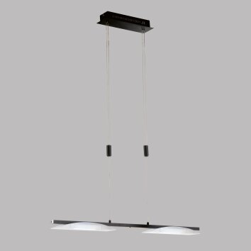 Fischer & Honsel Kop Hanglamp LED Zwart, 2-lichts