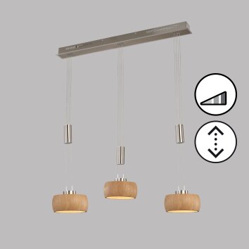 Fischer & Honsel SHINEWOOD Hanglamp LED Nikkel mat, 3-lichts