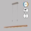 Fischer & Honsel SHINEWOOD Hanglamp LED Nikkel mat, 5-lichts