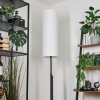 Coquimbito Staande lamp LED Zwart, 2-lichts