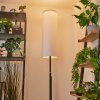 Coquimbito Staande lamp LED Zwart, 2-lichts