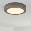 Leto Buitenshuis plafond verlichting LED Antraciet, 1-licht