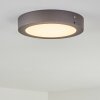 Leto Buitenshuis plafond verlichting LED Antraciet, 1-licht