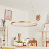 Calcium Hanglamp LED Messing, 1-licht