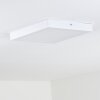 Leto Buitenshuis plafond verlichting LED Wit, 1-licht