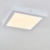 Leto Buitenshuis plafond verlichting LED Wit, 1-licht