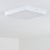 Leto Buitenshuis plafond verlichting LED Wit, 1-licht