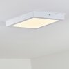 Leto Buitenshuis plafond verlichting LED Wit, 1-licht