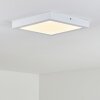 Leto Buitenshuis plafond verlichting LED Wit, 1-licht