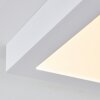 Leto Buitenshuis plafond verlichting LED Wit, 1-licht