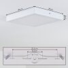 Leto Buitenshuis plafond verlichting LED Wit, 1-licht