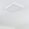 Leto Buitenshuis plafond verlichting LED Wit, 1-licht