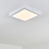 Leto Buitenshuis plafond verlichting LED Wit, 1-licht