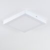 Leto Buitenshuis plafond verlichting LED Wit, 1-licht