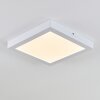 Leto Buitenshuis plafond verlichting LED Wit, 1-licht