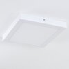 Leto Buitenshuis plafond verlichting LED Wit, 1-licht