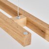 Mixto Hanglamp LED Natuurlijke kleuren, 2-lichts