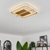 Evolene Plafondlamp LED Goud, 1-licht