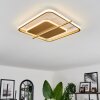 Evolene Plafondlamp LED Goud, 1-licht