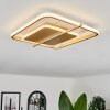 Evolene Plafondlamp LED Goud, 1-licht